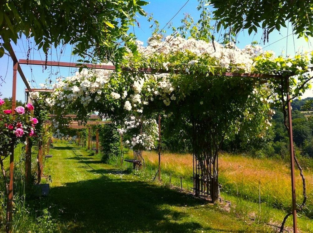 Mas Del Lum Bed and Breakfast Boussac  Buitenkant foto